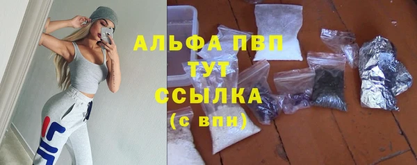 дживик Козельск