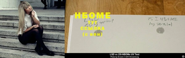 крисы Кодинск