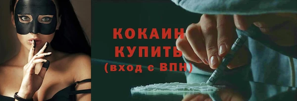 дживик Козельск