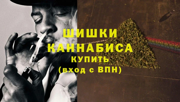 крисы Кодинск