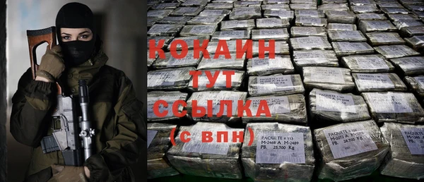 крисы Кодинск