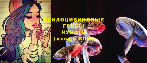 дживик Козельск
