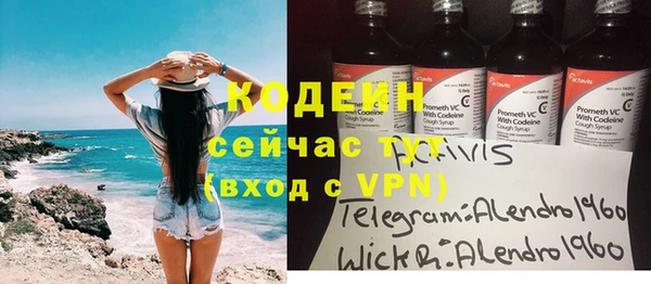 крисы Кодинск
