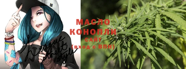 крисы Кодинск