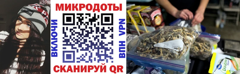 Псилоцибиновые грибы прущие грибы  Купить закладки  Валуйки 